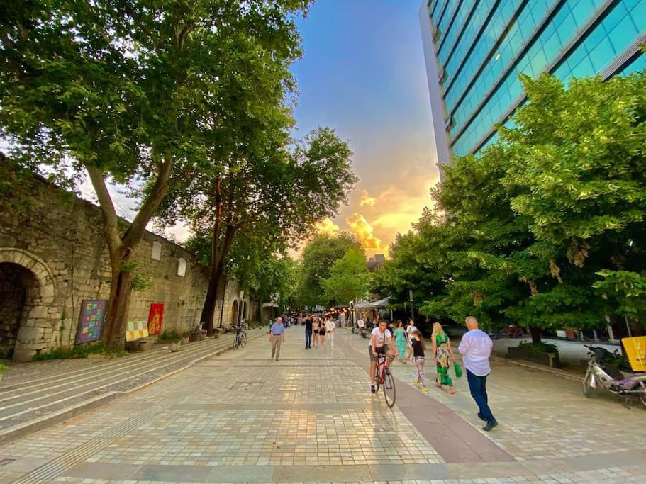 City Centre Big Art'Partment Heart Of The Capital ティラナ エクステリア 写真